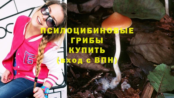 мет Арсеньев