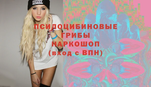 мет Арсеньев