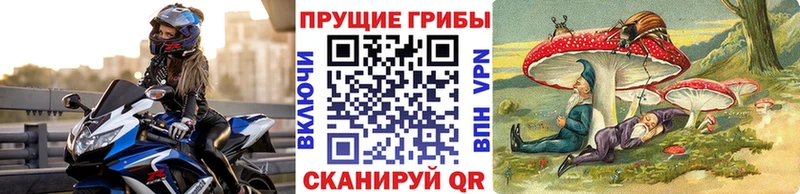 Псилоцибиновые грибы мухоморы  omg tor  Тара 